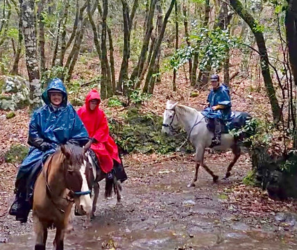 Equine Village by Quinta do Riacho-Santo da Serra必去景点