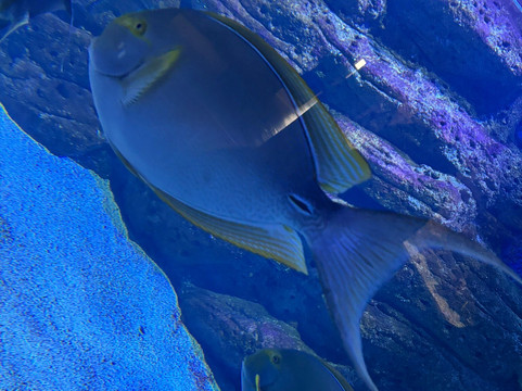 CRETAquarium-Gournes必去景点