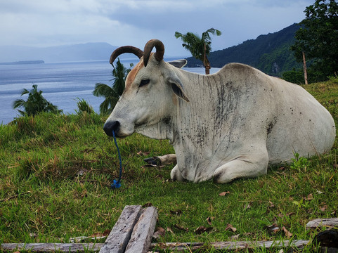 Bituon Beach-Limasawa Island必去景点
