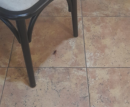 Jandia Golf Course-Morro del Jable必去景点