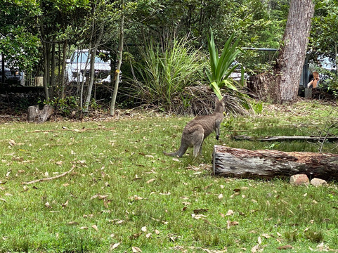 海滩-Shoalhaven必去景点