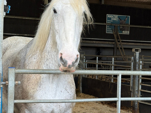 Cannon Hall Farm-Cawthorne必去景点