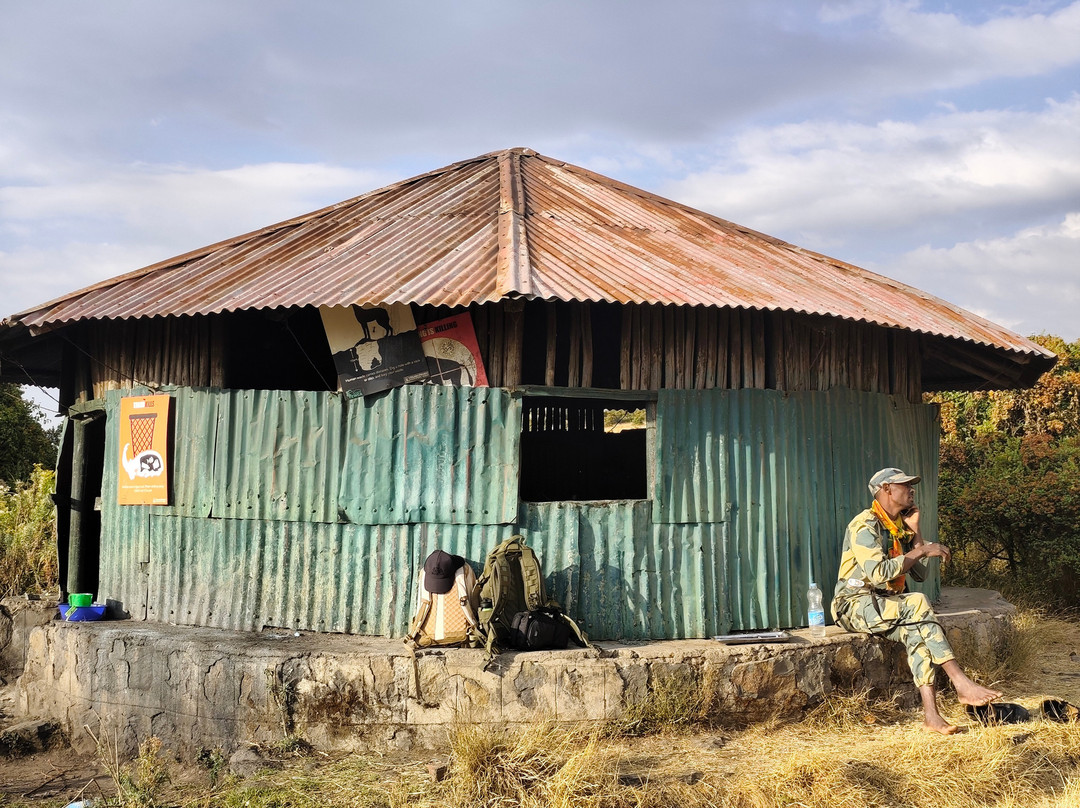 SMT TOUR (Simien Mountains Tour)-贡德尔必去景点