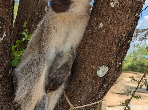 Mamnana Adventures-Olasiti必去景点