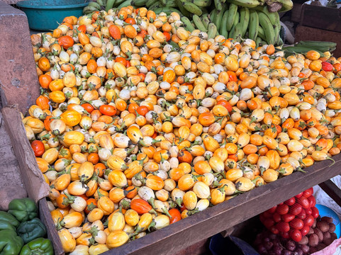 Mimmo Shaibu Kenya Safari-瓦塔木必去景点