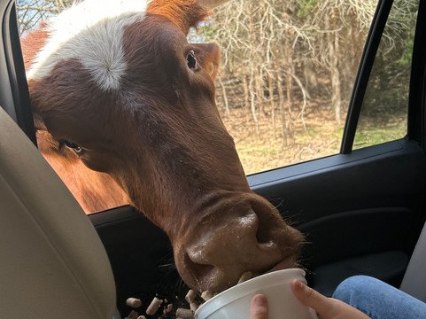 Texas Zoofari Park-Kaufman必去景点