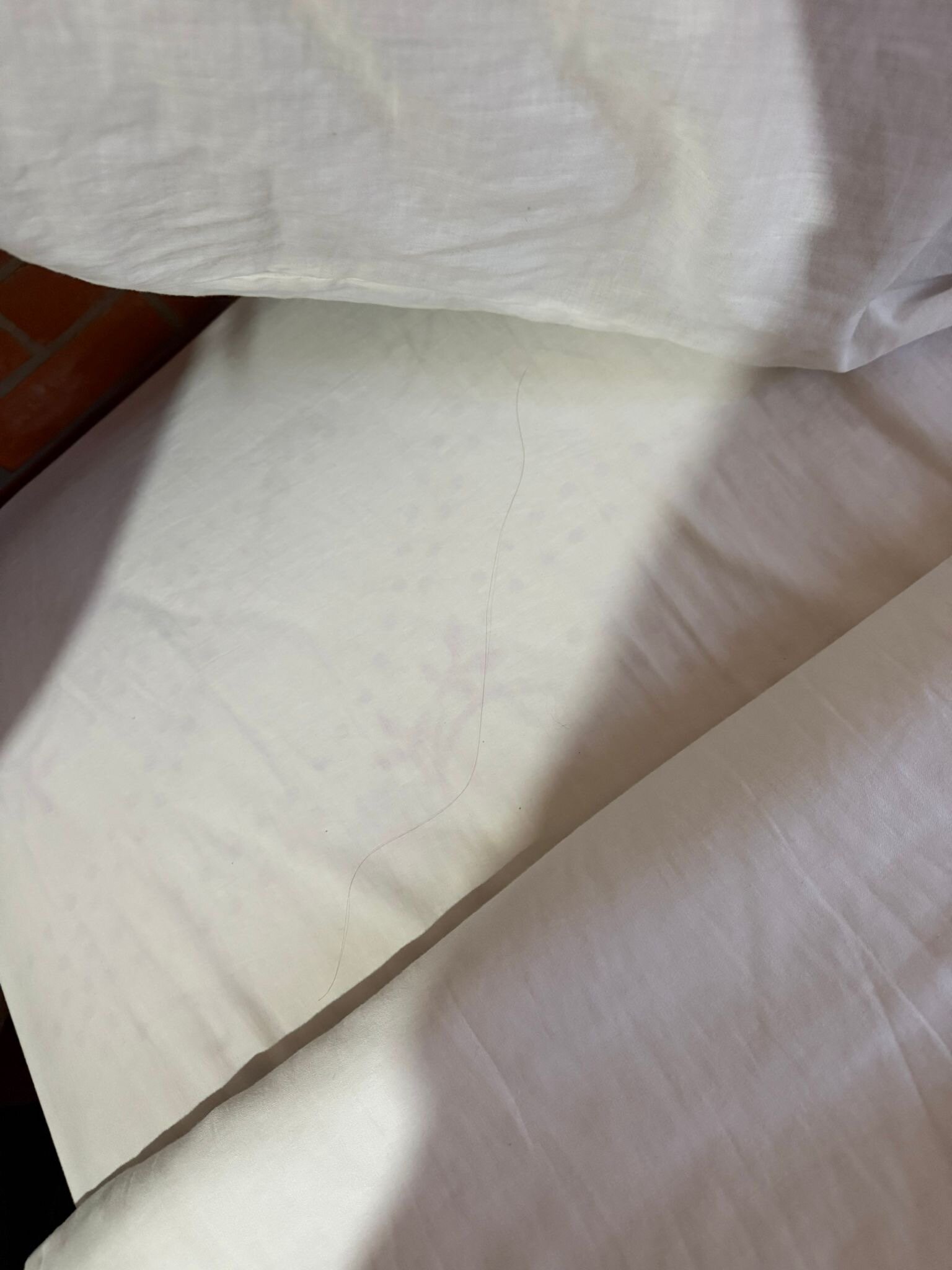 拉格泽尔德戴兹餐厅酒店-官方