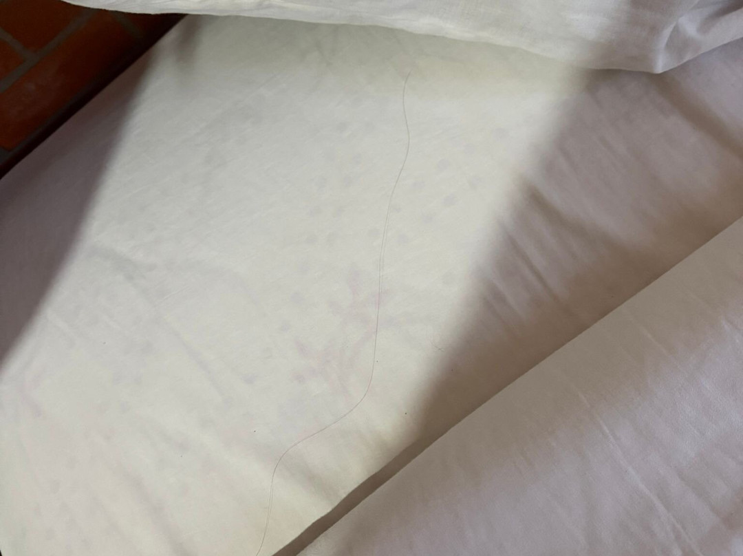 拉格泽尔德戴兹餐厅酒店主图