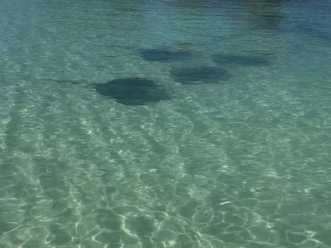 Abaco Tours & Activities-Treasure Cay必去景点