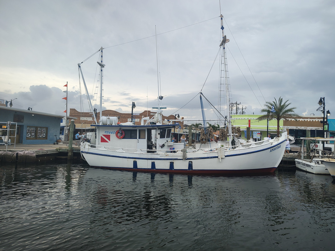 Tarpon Springs Sponge Docks-塔彭斯普林斯必去景点
