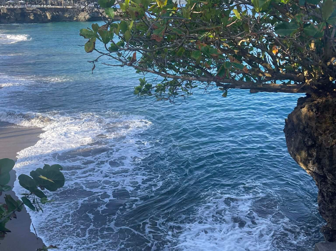 苏莎亚酒店住宿-Sosua by the Sea Boutique Beach Resort