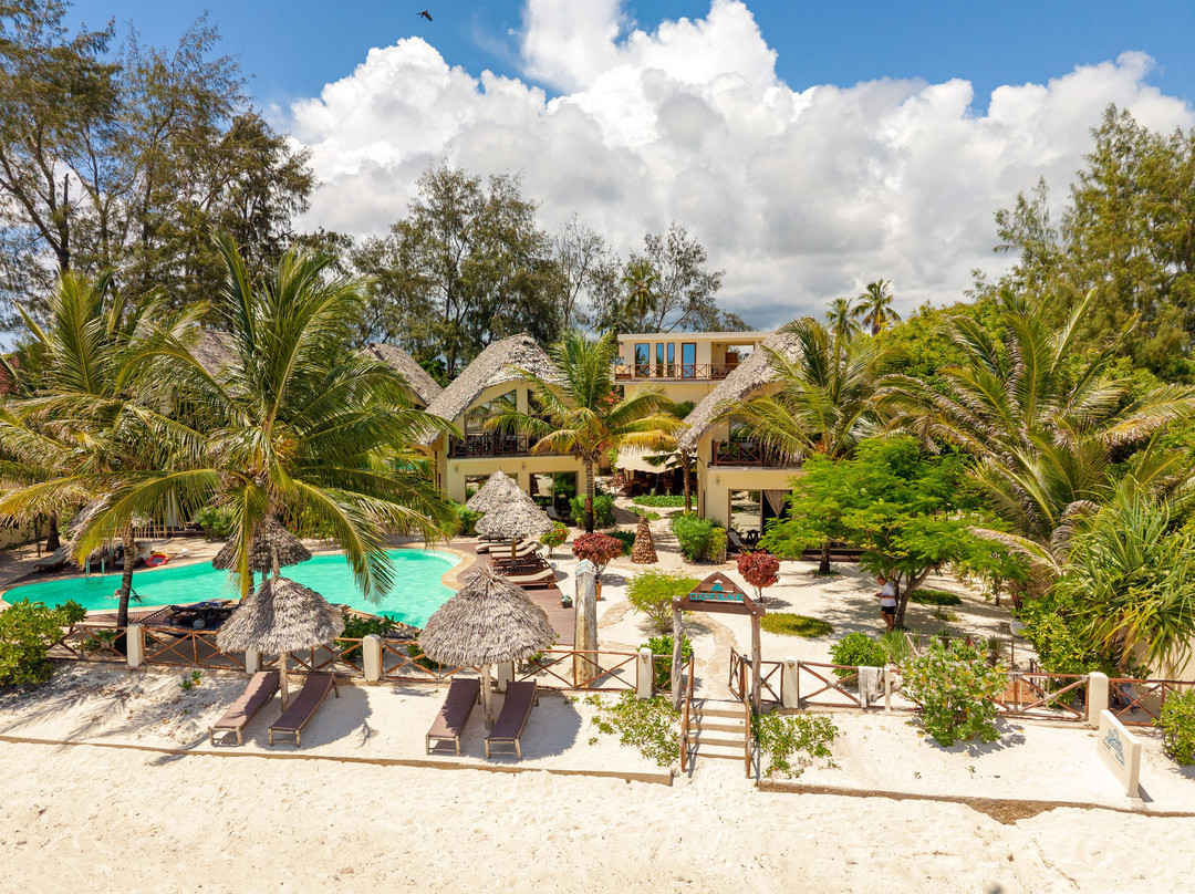 Makunduchi酒店住宿-Clove Island Villas&spa