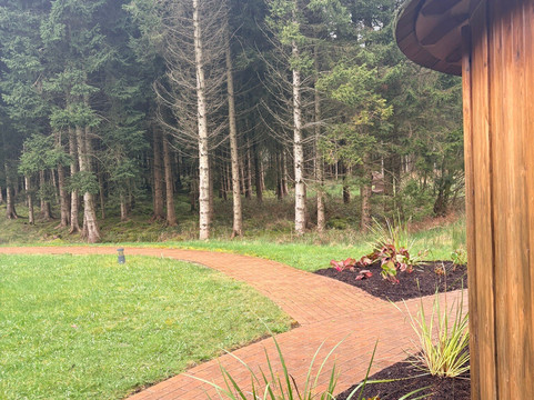 Aqua Sana Longford Forest-Ballymahon必去景点