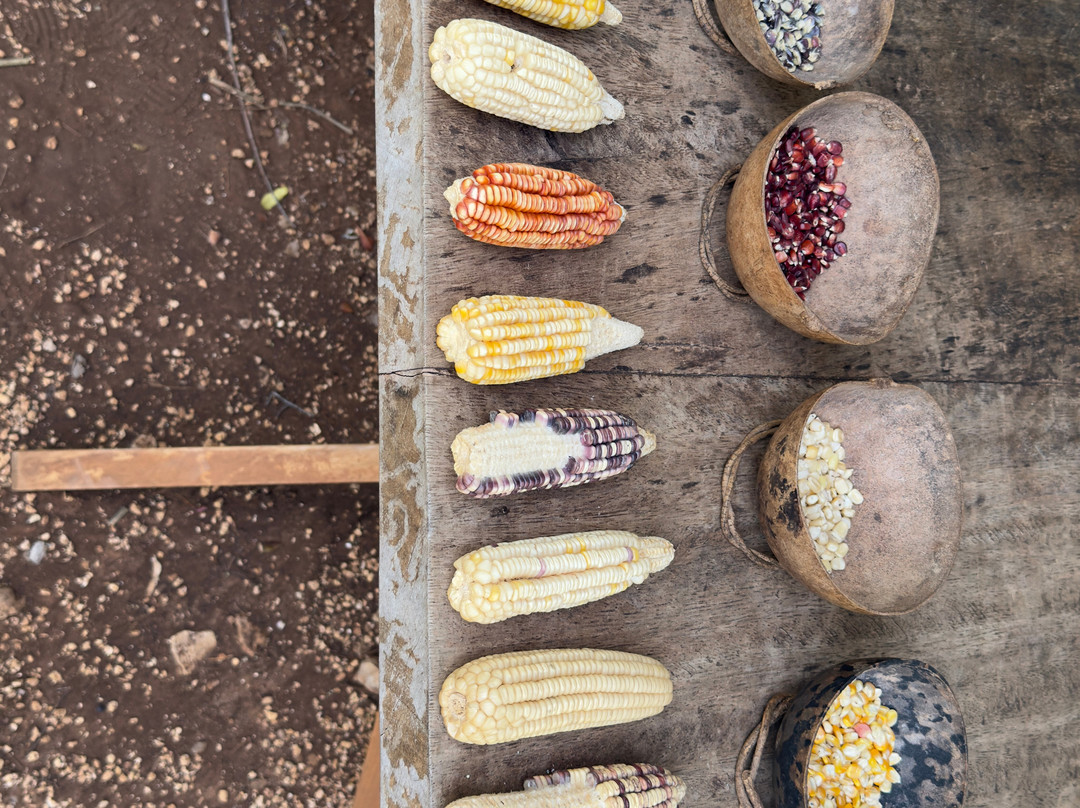 Tsukán Santuario de Vida-Piste必去景点