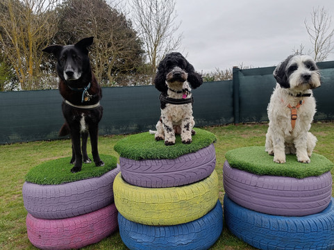 Winterton Hound Ground-Winterton-on-Sea必去景点
