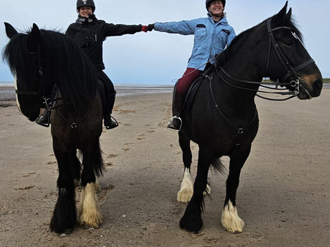 Cumbrian Heavy Horses-Millom必去景点