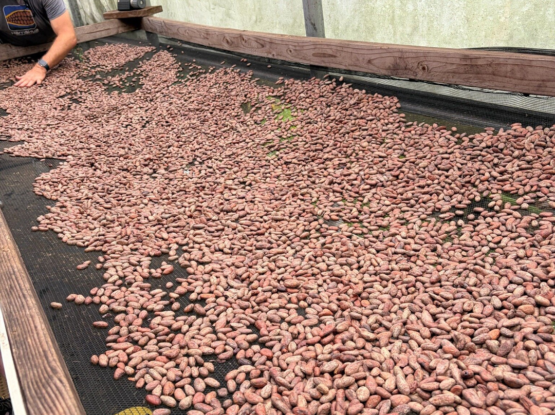 Hamakua Chocolate Farm-帕派科欧必去景点