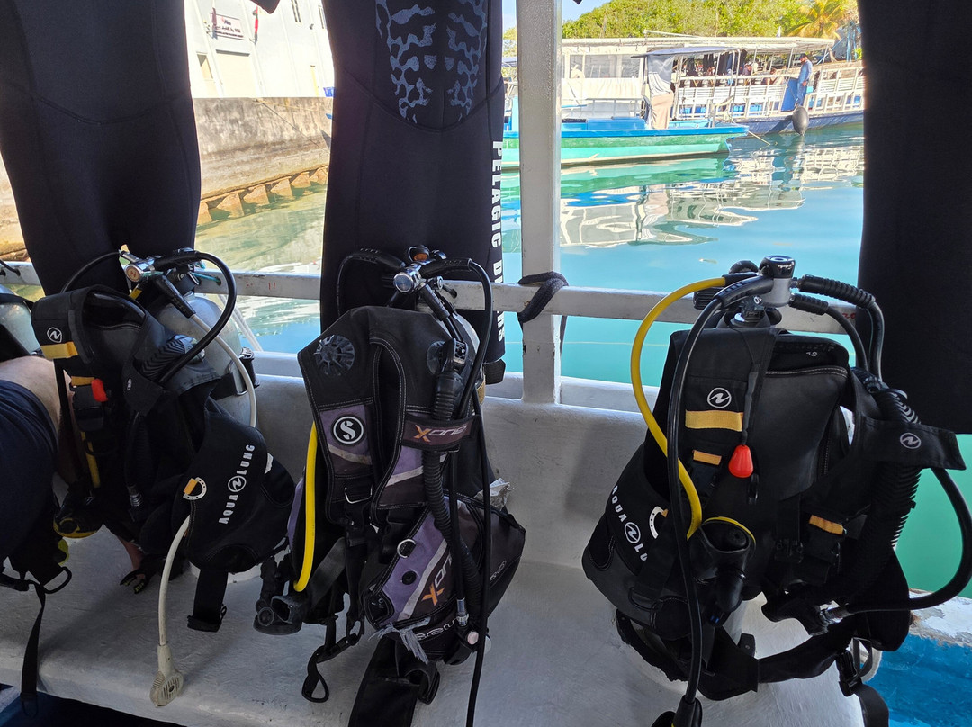 Pelagic Divers Fuvahmulah-Fuvahmulah必去景点