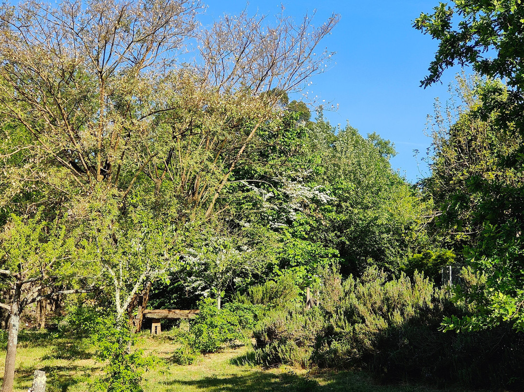 Quinta Pedagógica Quinta das Manas-吉马良斯必去景点