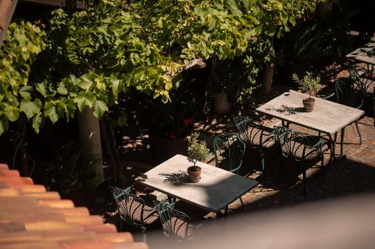Vitalpina Hotel Schulerhof-餐饮