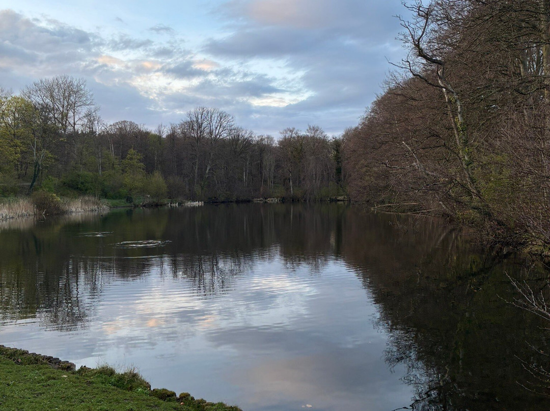 Brouwerskolkpark-Overveen必去景点