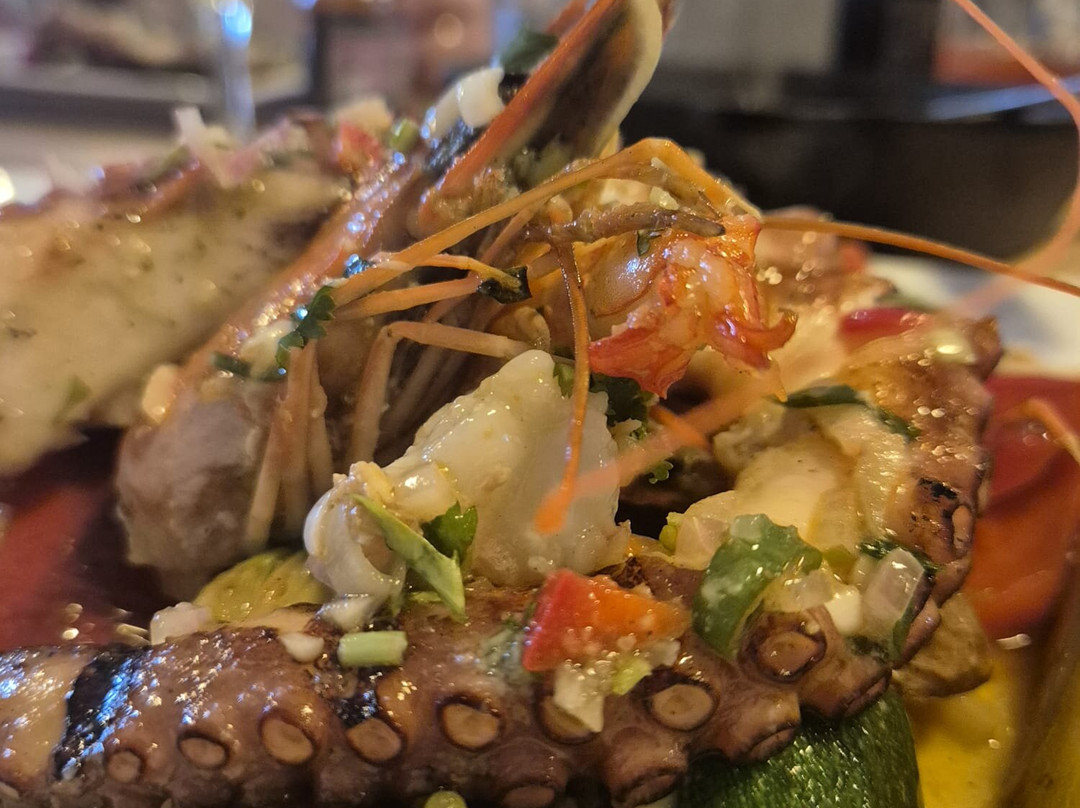 Gourmet Modern Bistro
