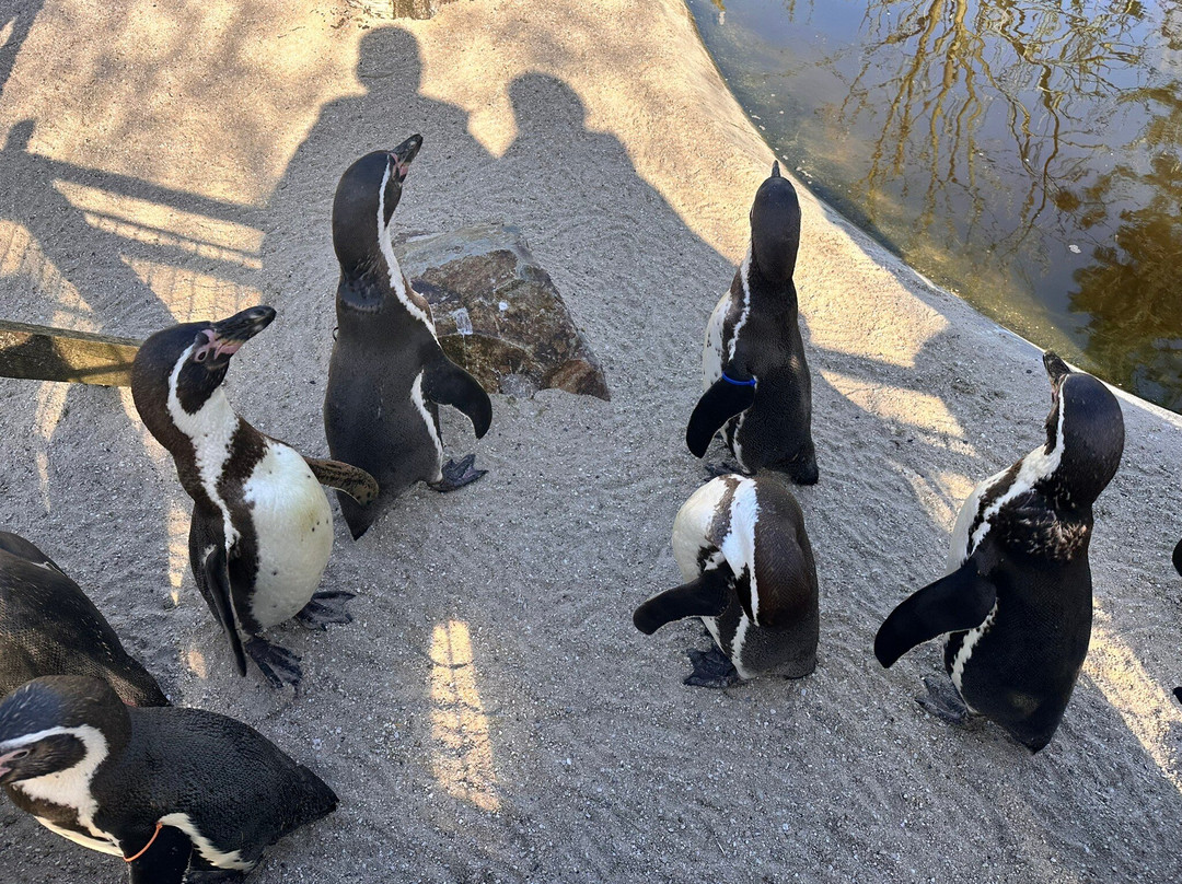 Vogelpark Avifauna-Alphen aan den Rijn必去景点