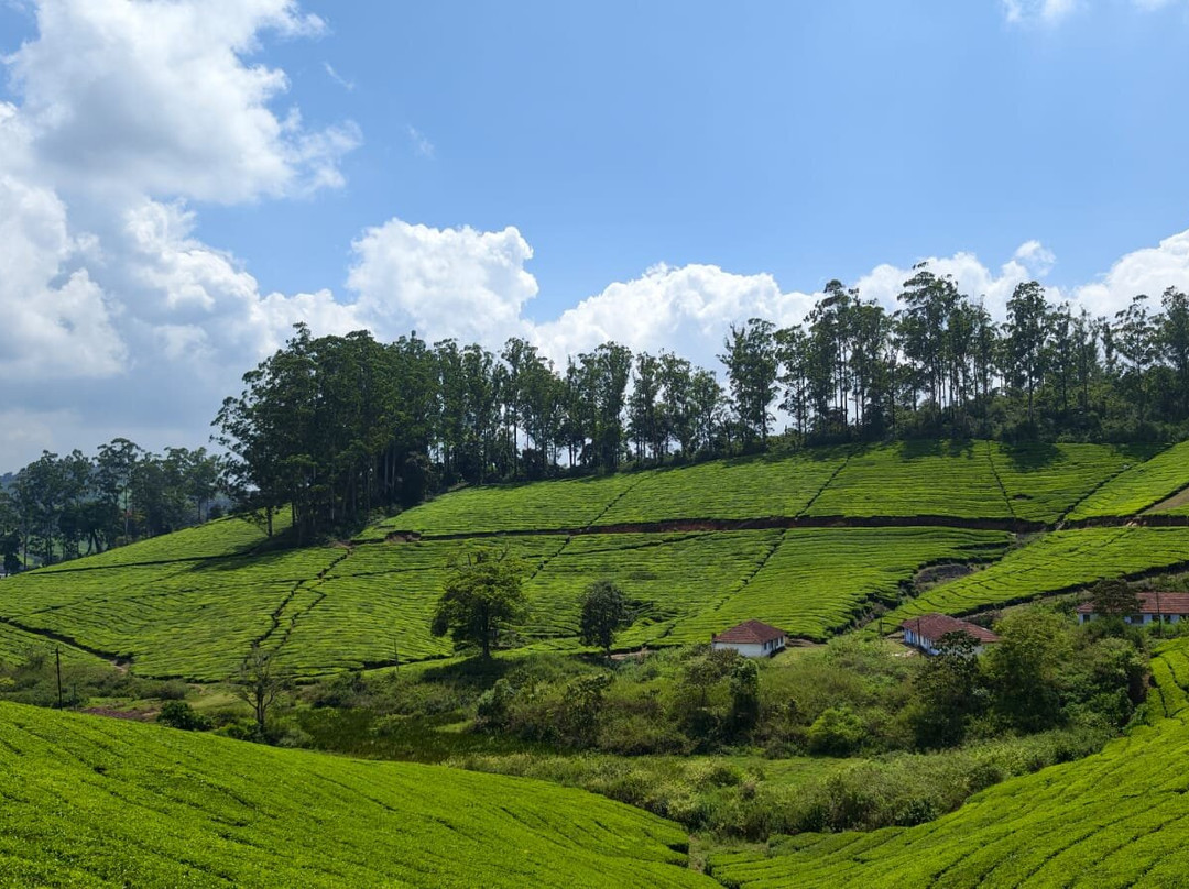 Meghamalai - High Wavy Mountains-Theni必去景点
