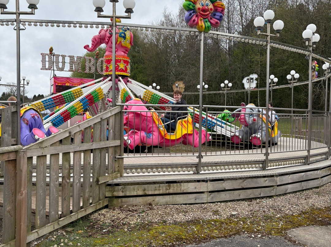 Lightwater Valley Family Adventure Park-North Stainley必去景点