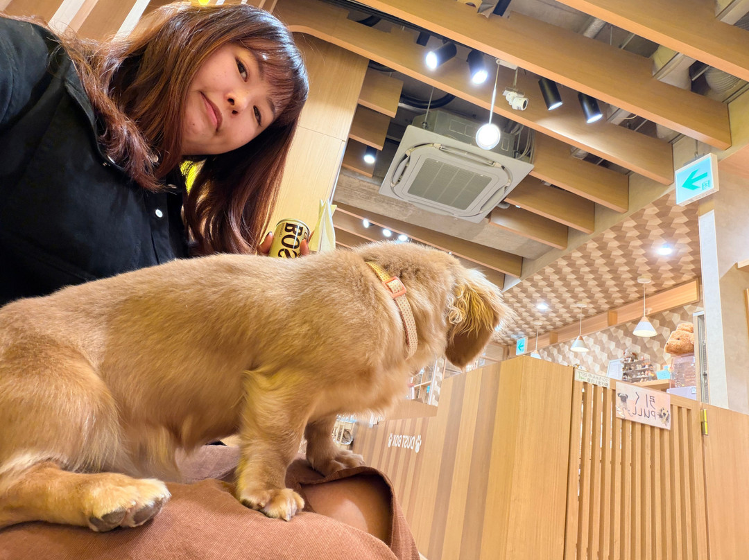 いぬカフェRIO 浅草店