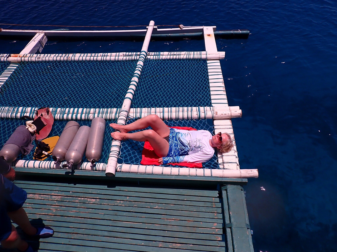 Dugong Dive Center-San Jose必去景点