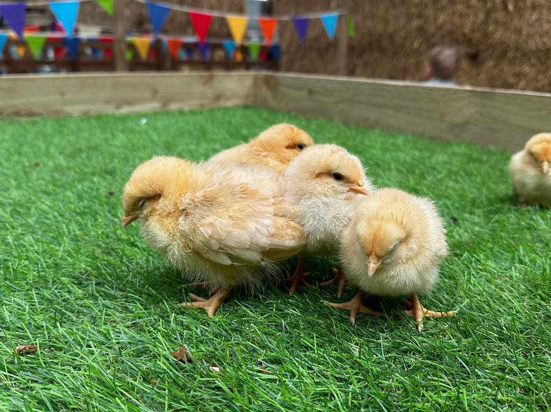 Monk Park Farm-Bagby必去景点