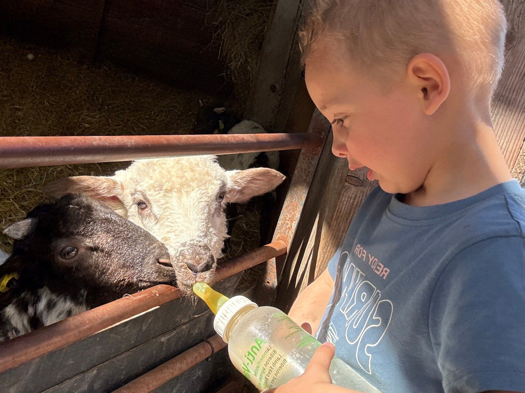 La Ferme Du Facteur Enchantée-Hauterives必去景点