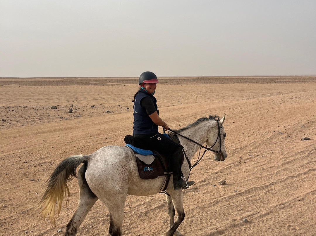 Equestrian Dream Egypt-赫尔格达必去景点