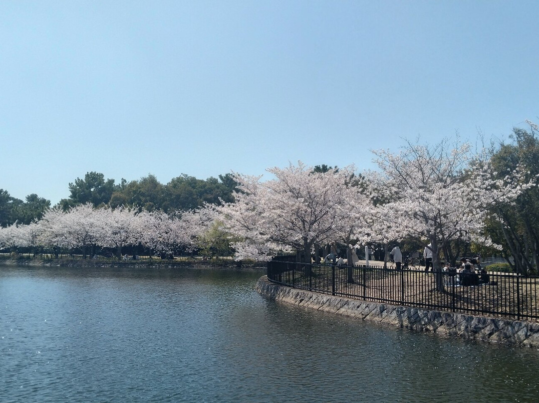 Hattori Ryokuchi Park-丰中市必去景点