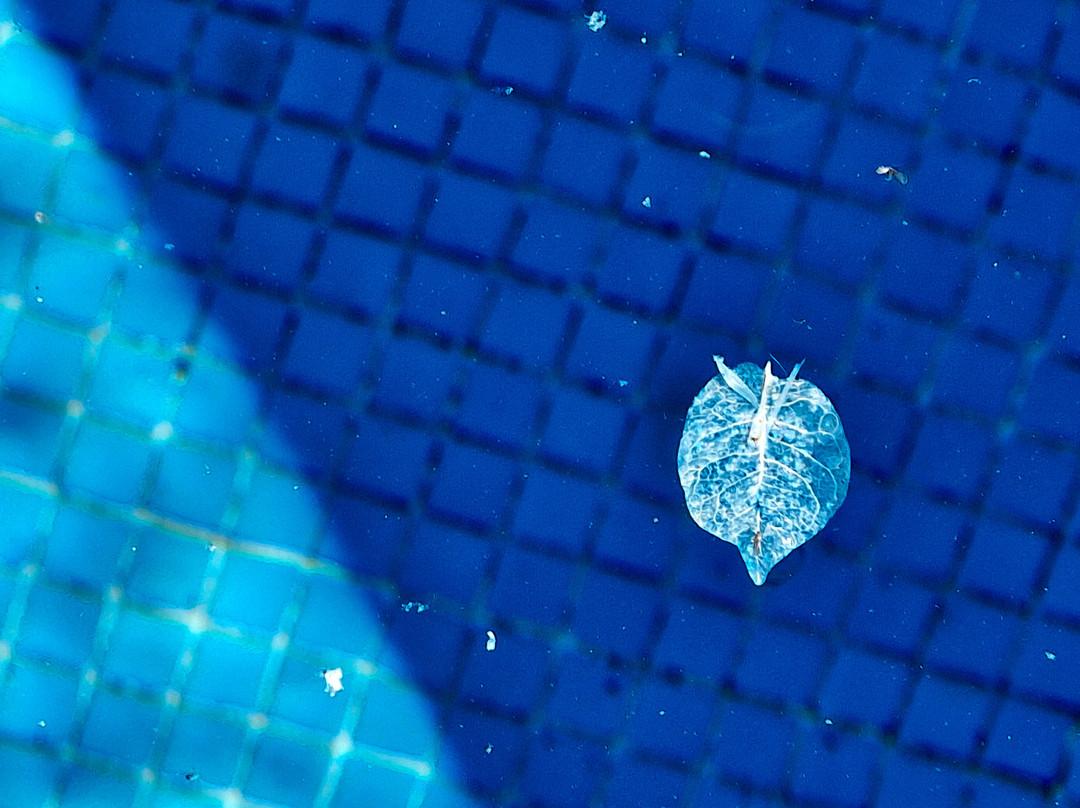 Hotel Blaumar Cadaqués by Fimed Hotels主图