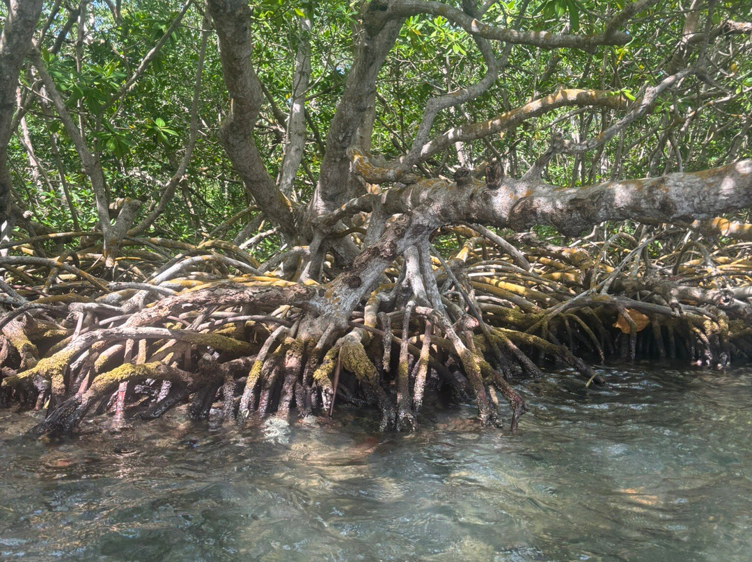 Mar'eau Kayak-Sainte Rose必去景点