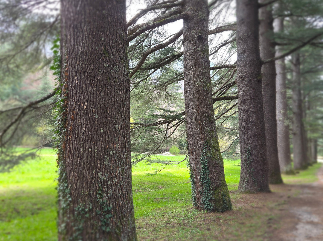 L’Auberge des Dauphins-Saou必去景点