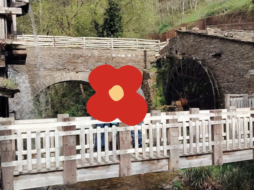 Museo Molinos Mazonovo-Taramundi必去景点