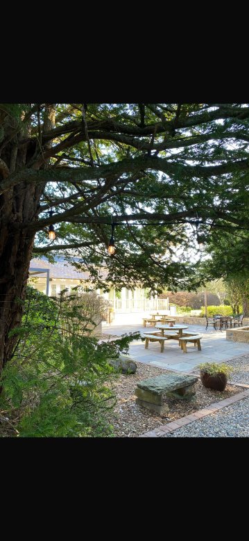 霍尔顿庄园酒店-旅行者