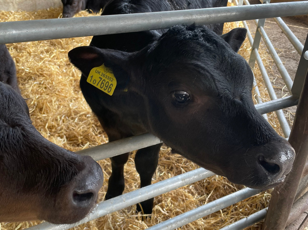 Coombes Farm-Coombes必去景点