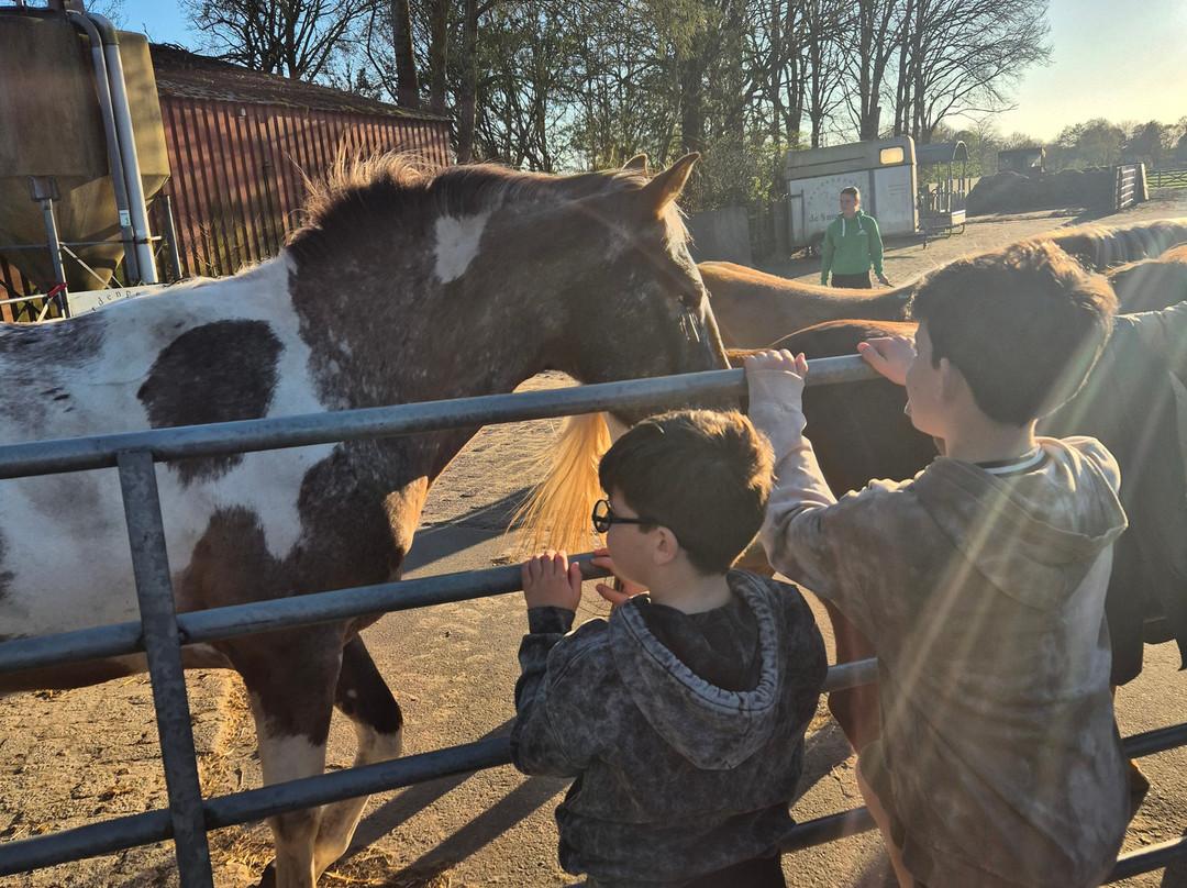 De Smulhoeve-卡特斯维尔必去景点