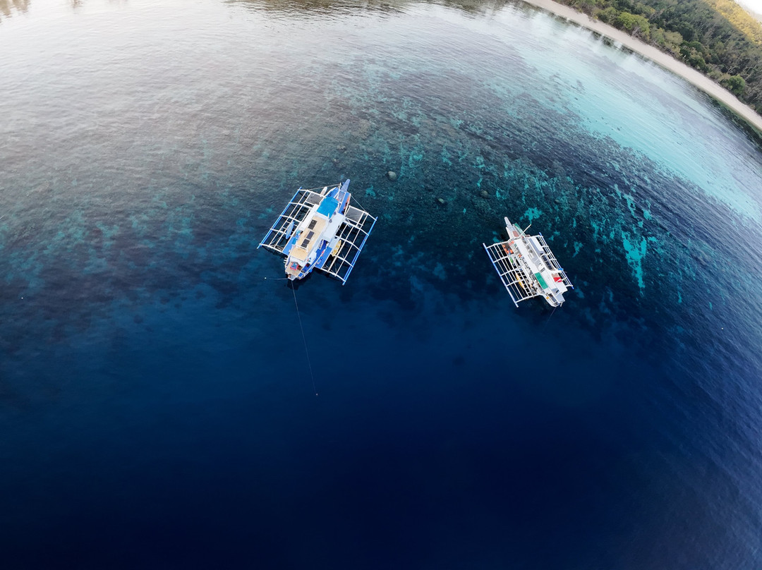 Big Dream Boatman-科隆必去景点