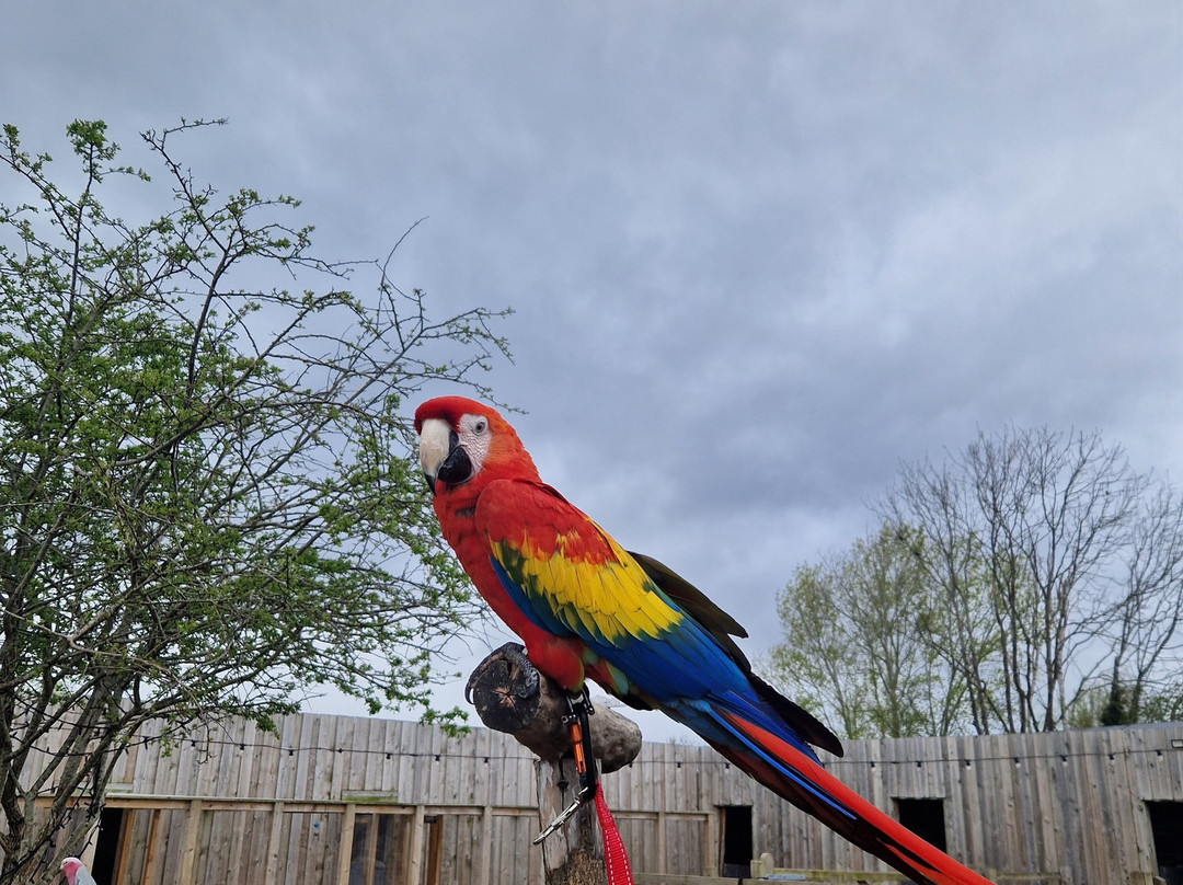 Nanny Sharon's Alpaca Farm C.I.C-Prenton必去景点