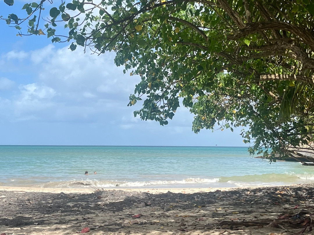 Plage Manbia-Sainte Rose必去景点