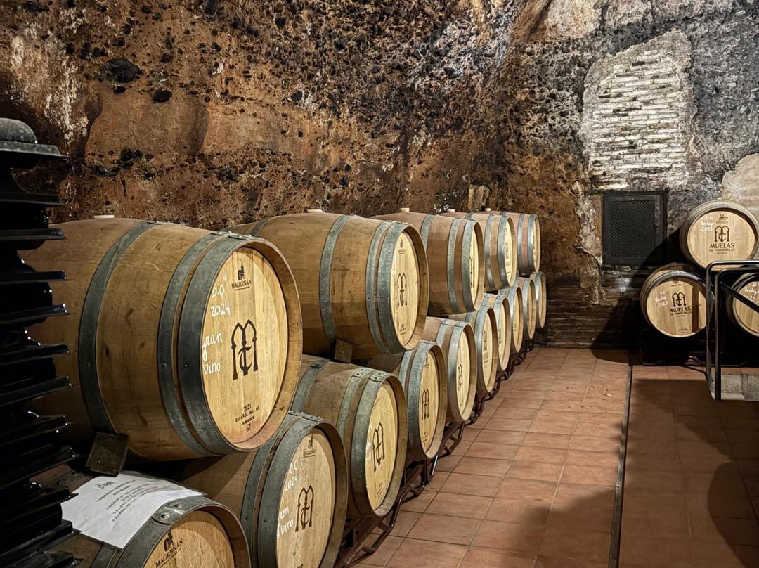 Bodega Muelas-Tordesillas必去景点