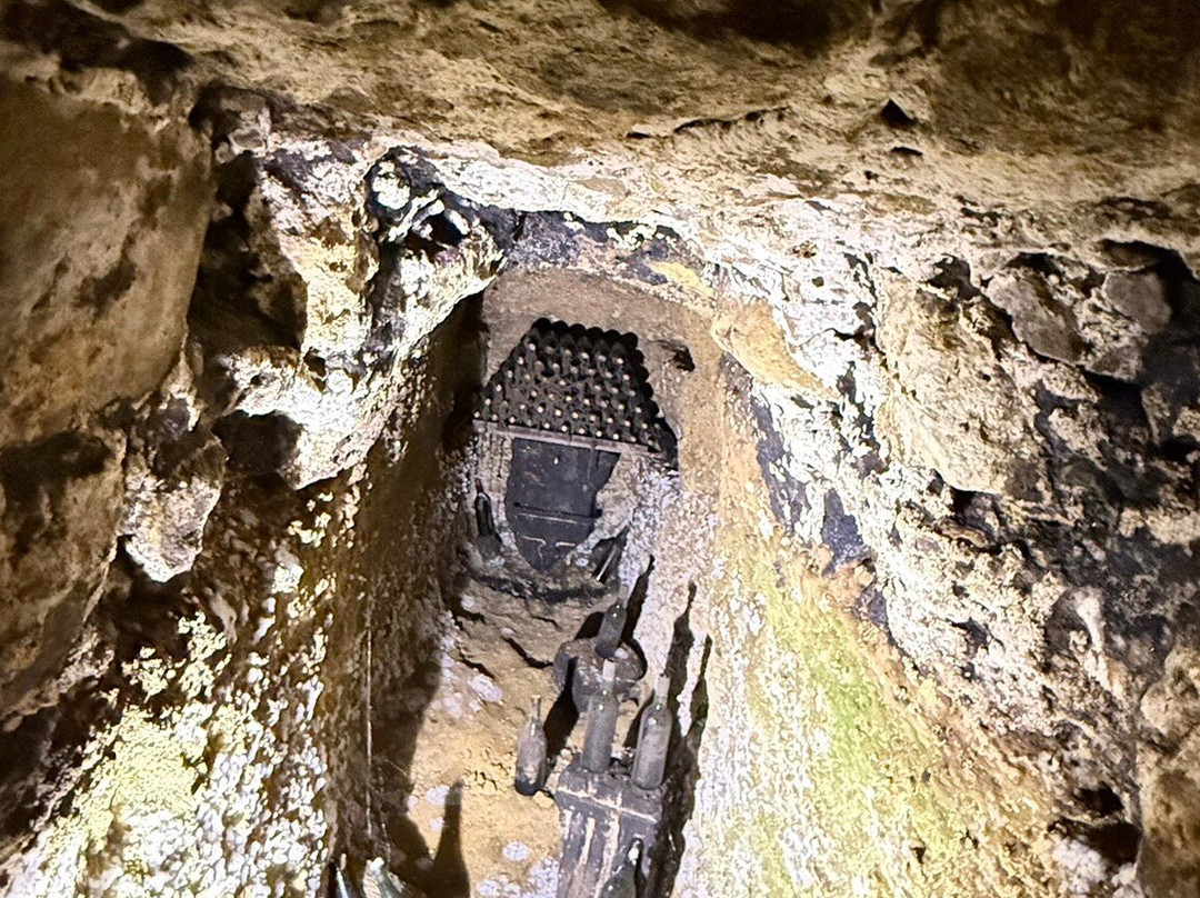 Azienda Agricola Ercolani-蒙特普尔恰诺必去景点