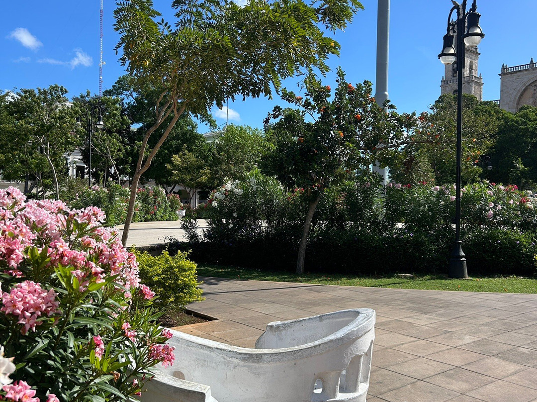 Plaza Grande-梅里达必去景点