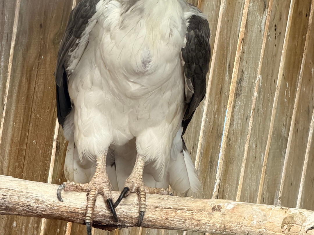 Raptor Refuge-Kettering必去景点