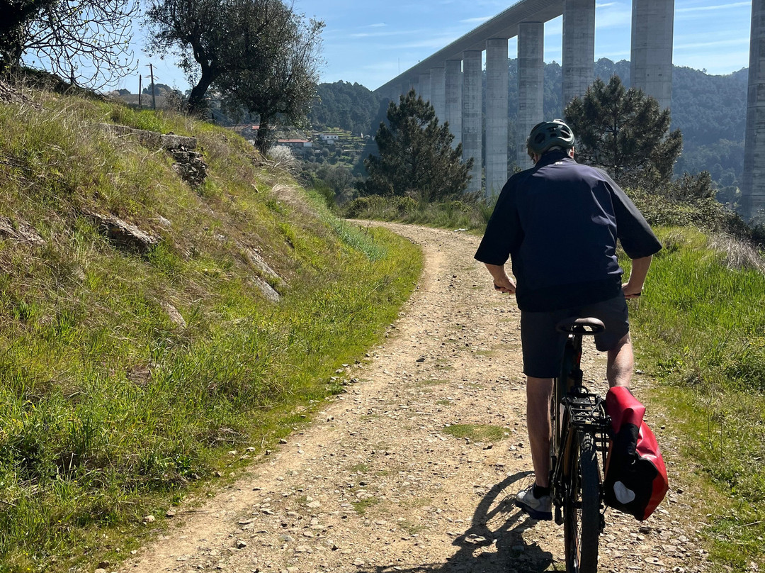 Top Bike Tours Portugal-波尔图必去景点